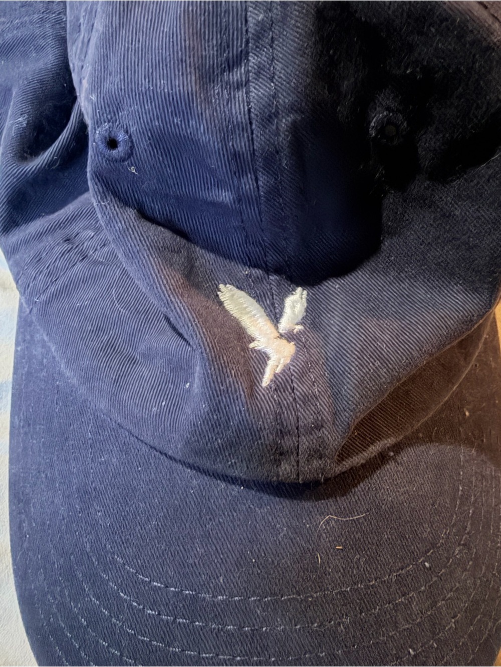 American Eagle Outfitters Navy Baseball Cap with White Eagle Logo